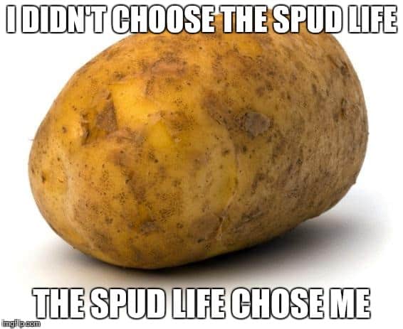 None