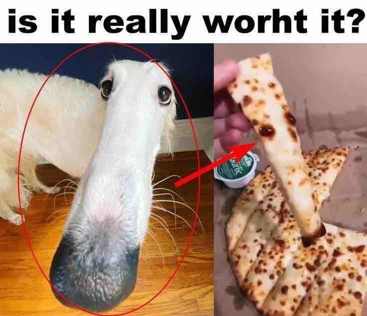 Is it worth it?