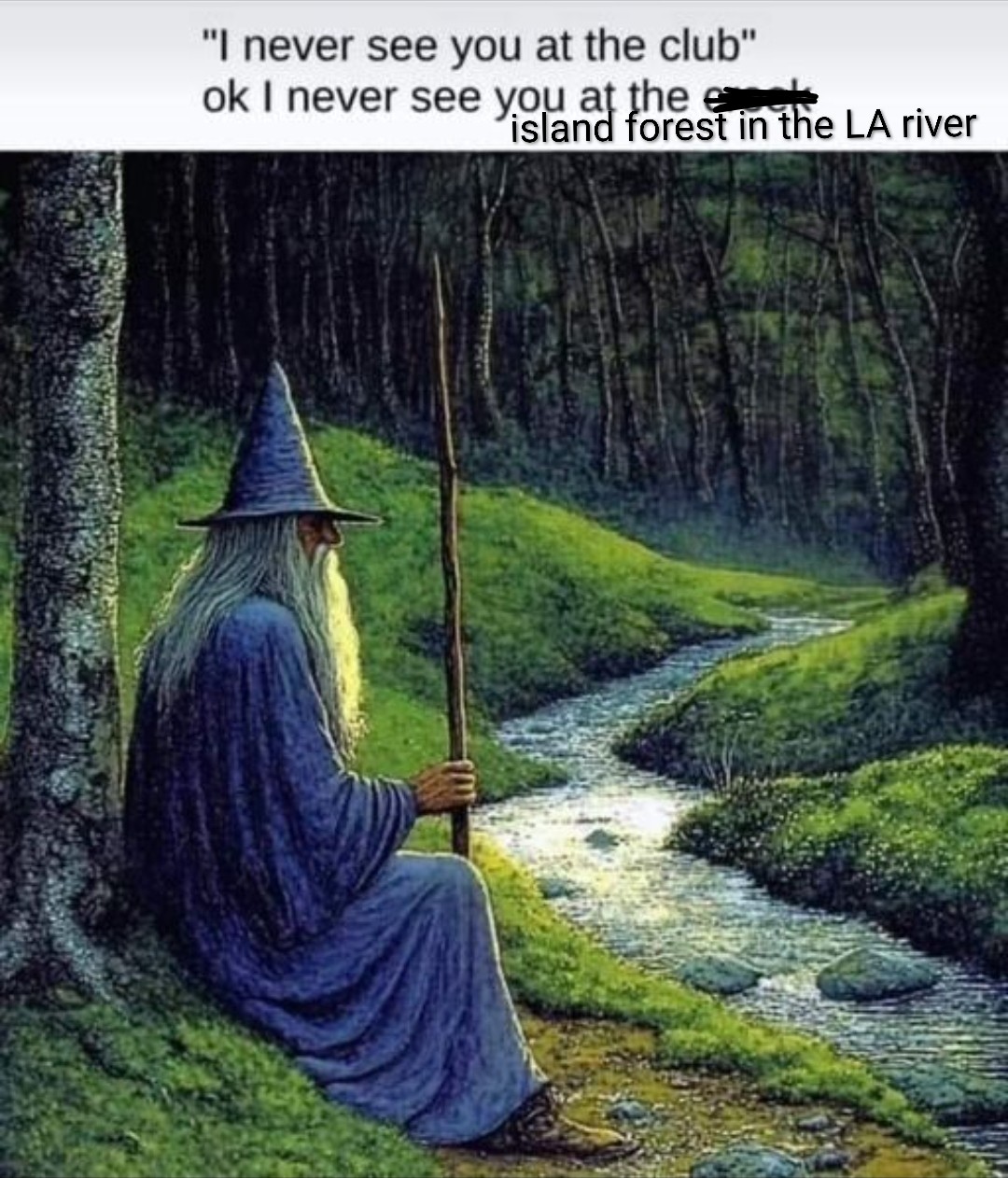 A wizard sits next to a stream in a forest. It is captioned: "I never see you at the club" ok I never see you at the creek island forest in the LA river
